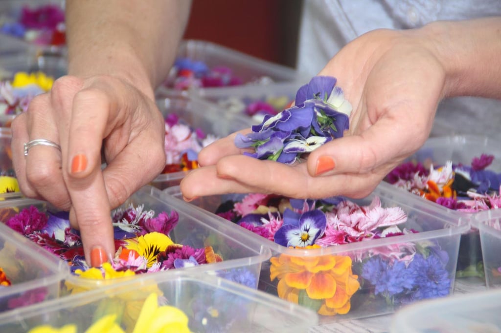 Tamsin sorting edible flowers