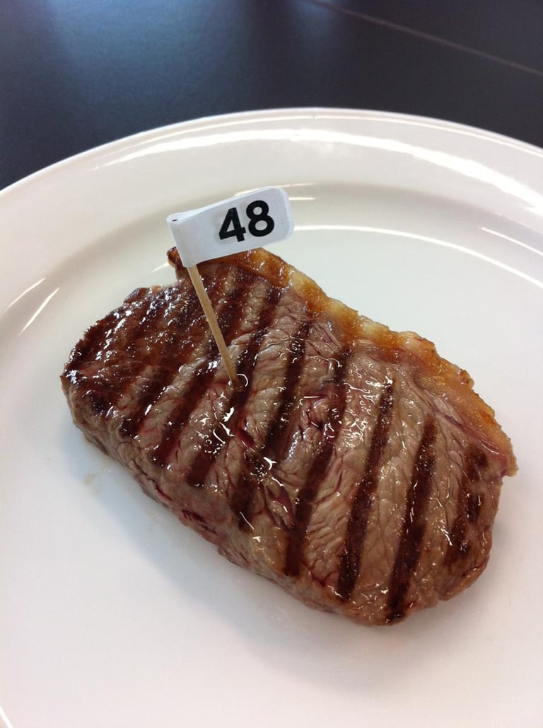succulent sirloin steak