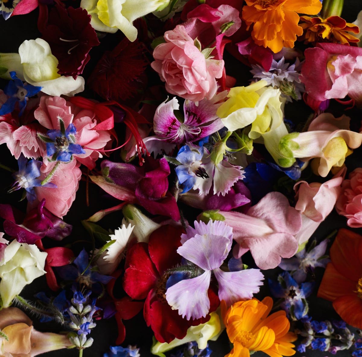 Edible flowers