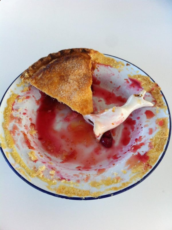pie bird