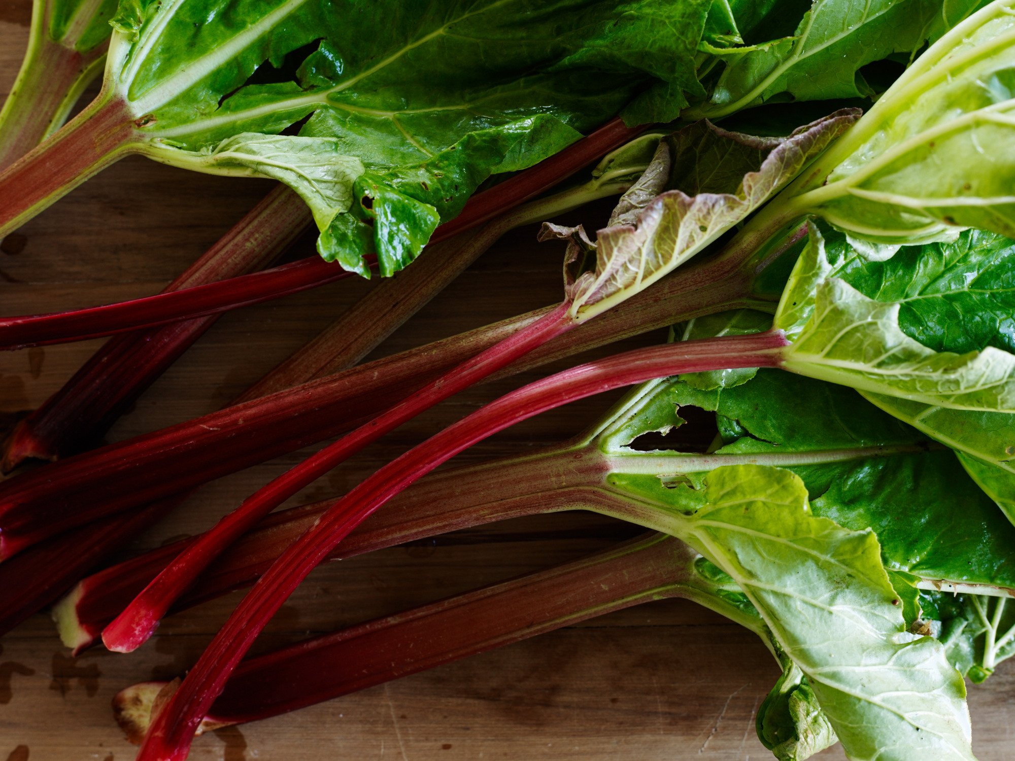 Rhubarb