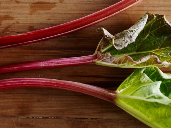 Rhubarb stalks