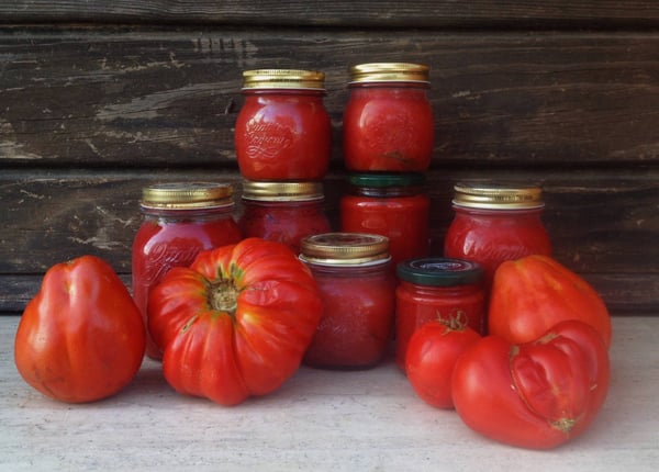 Sugo di pomodoro