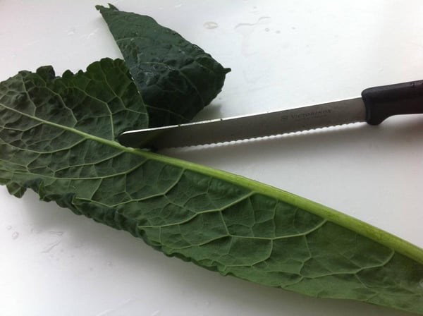 Cavolo nero