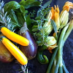 World Vegetarian Day