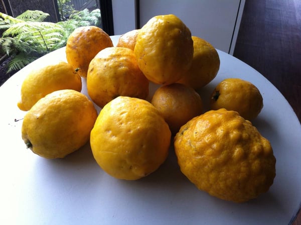 Lemons