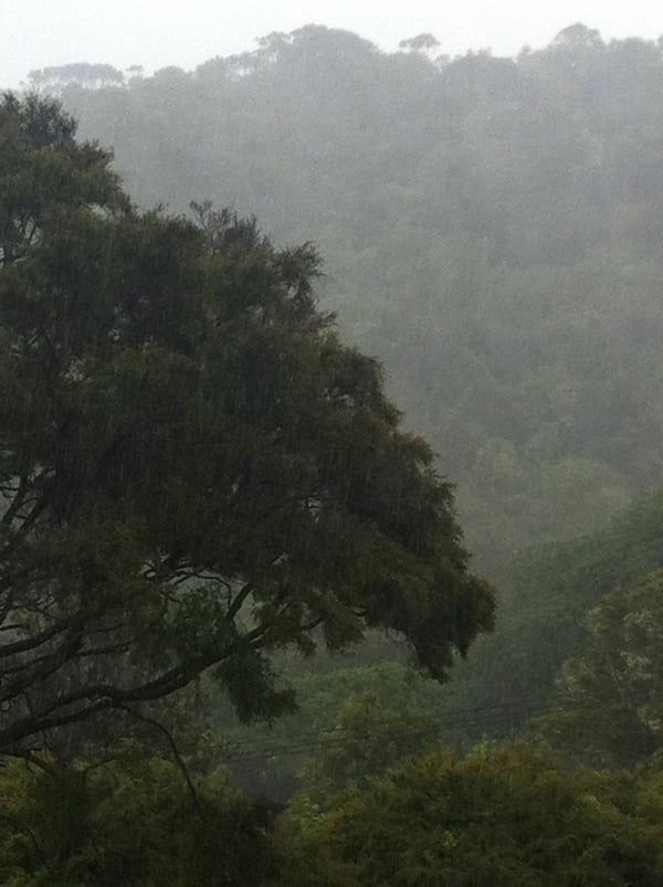 swirling mist
