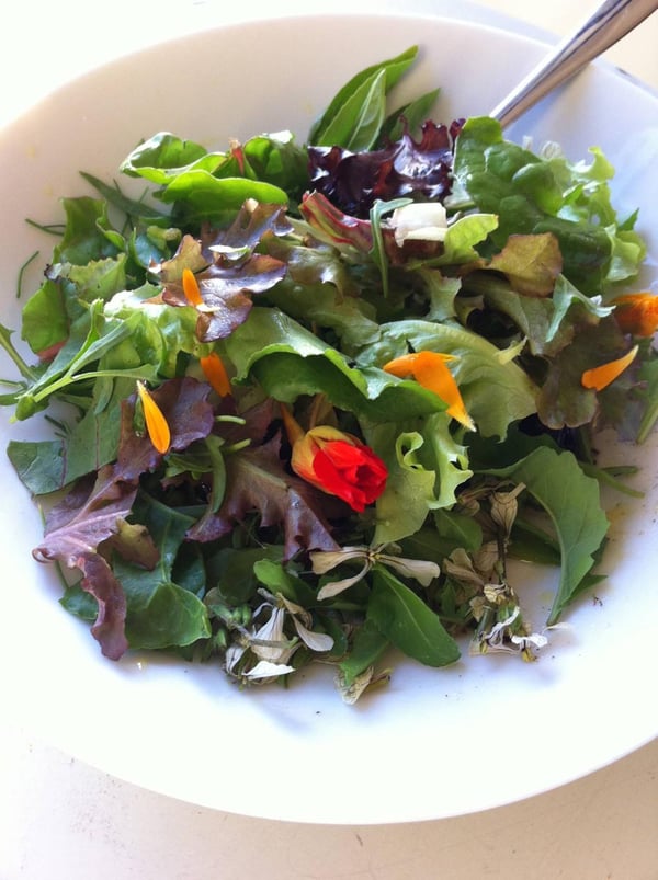 Building a salad4