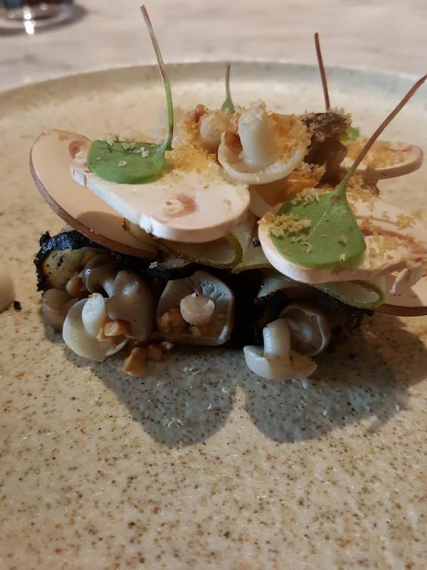 Celeriac, pear, fermented mushrooms & hazelnuts