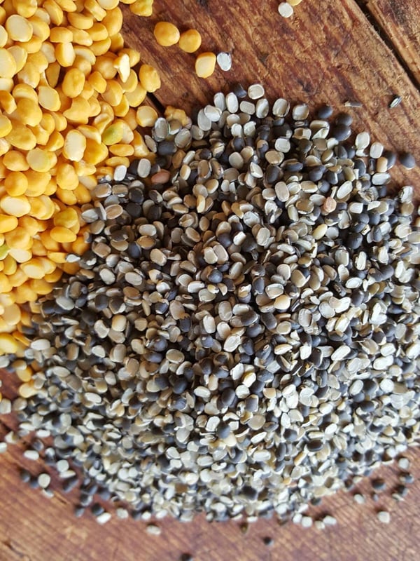 Urid dal