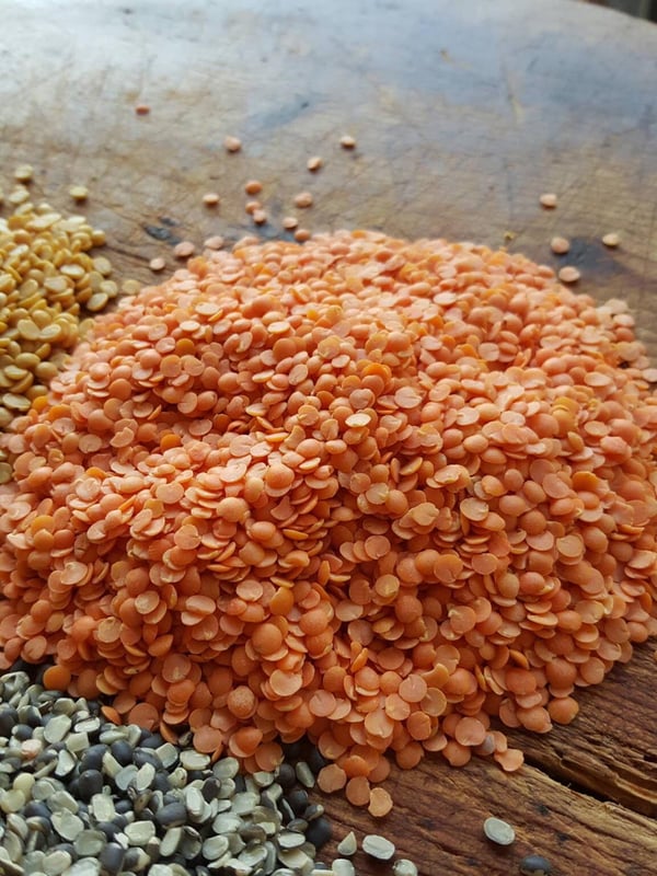 Masoor dal