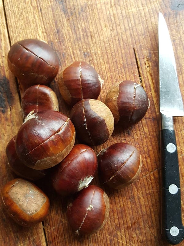 Cutting chestnut shells