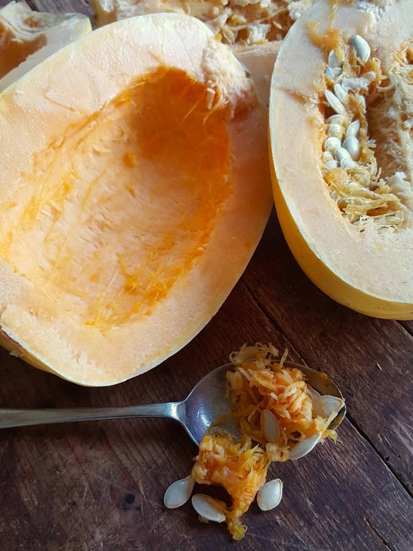 Scooped out squash