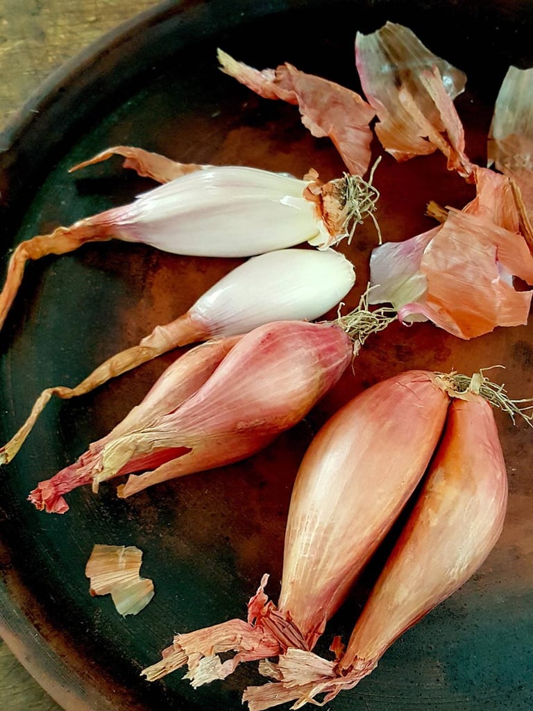 Shallots