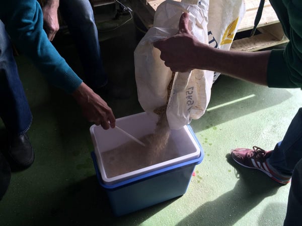 Adding malt