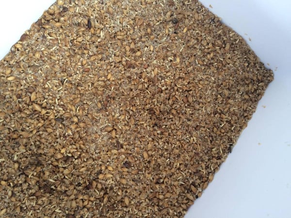 Brewing beer