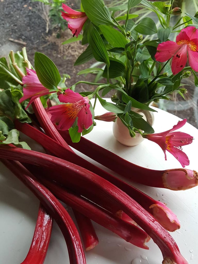 Come cook with us on Waiheke