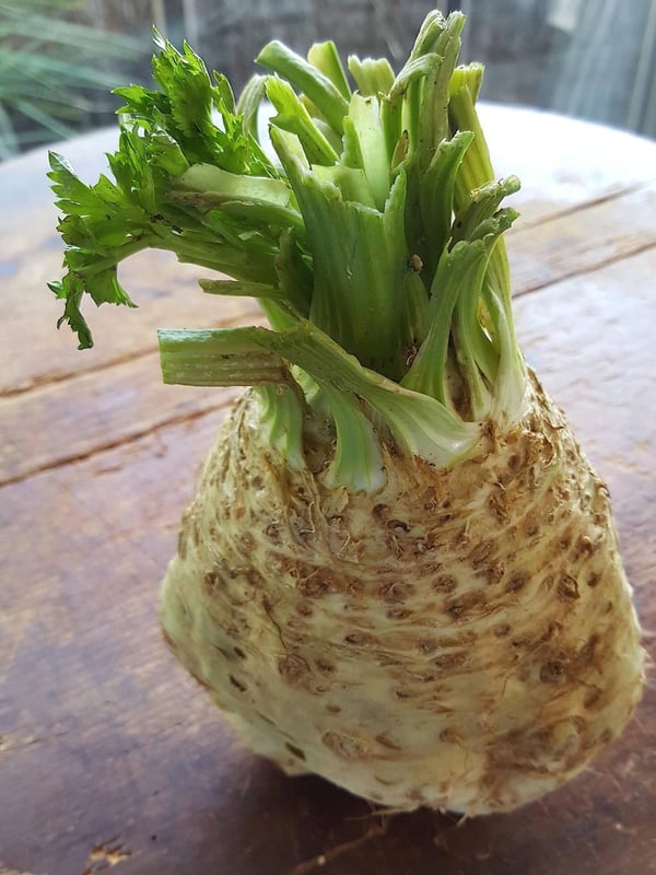 Celeriac