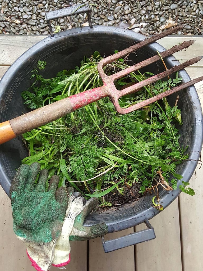 Freshly dug weeds!