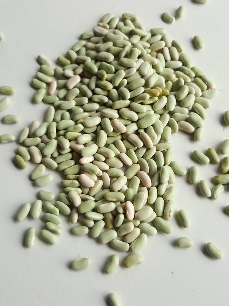Flageolet beans