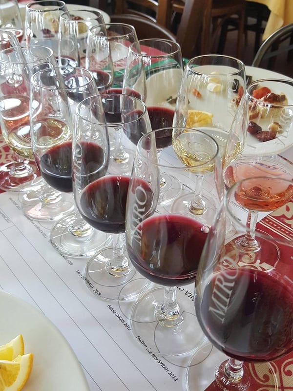Line up of wines Casita Miro