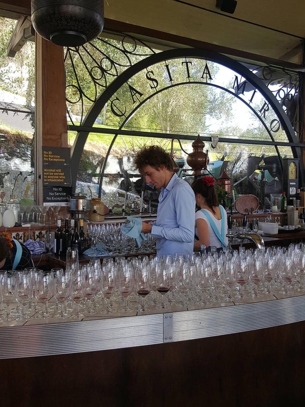 Luca in the bar