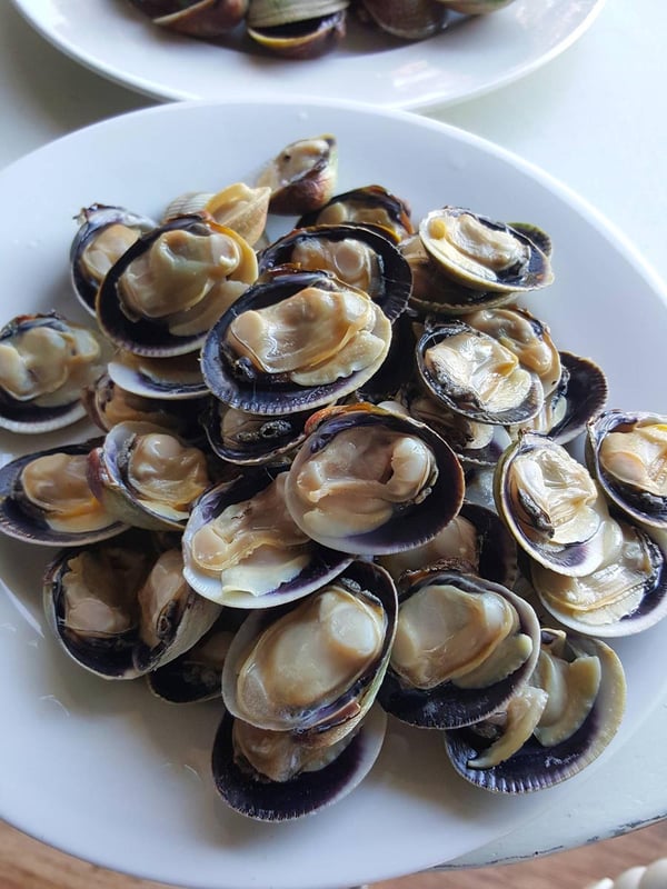 Southern clams in half shell