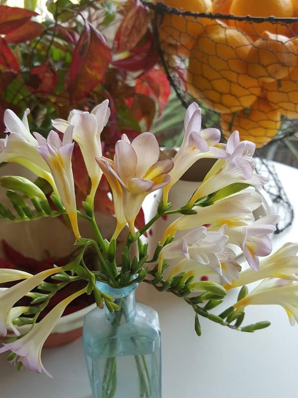 Spring flowers