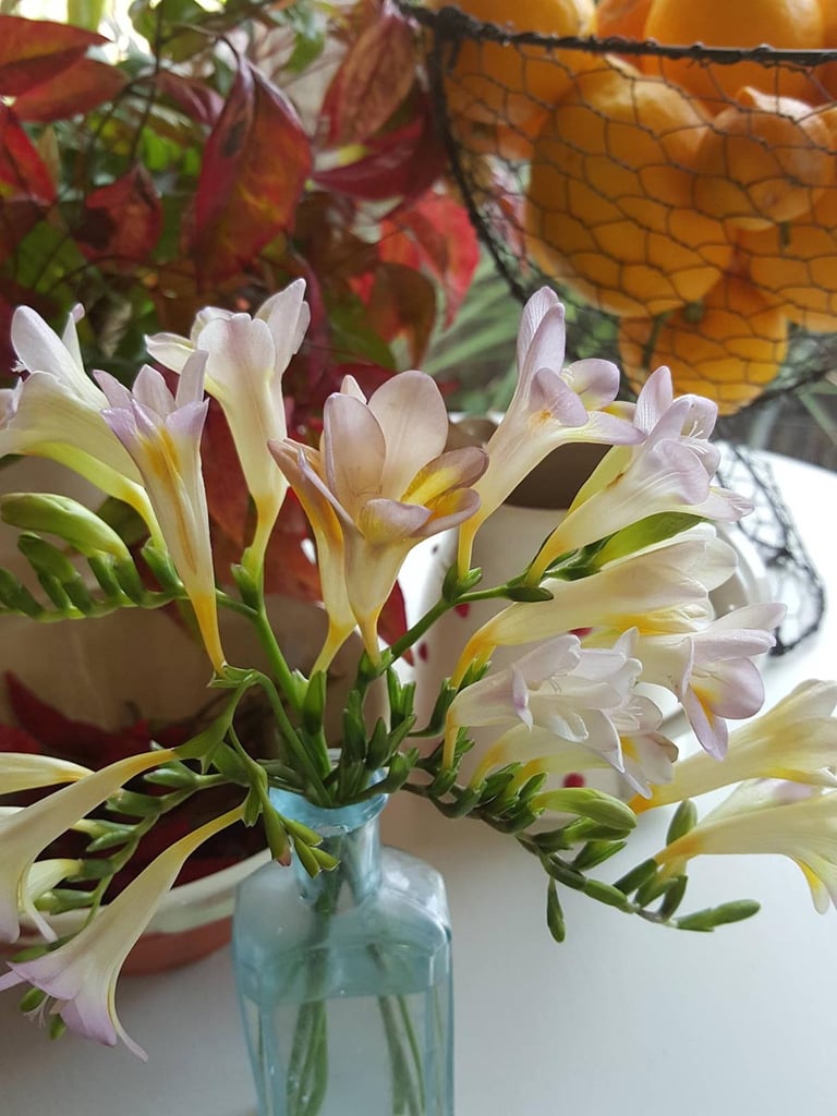Spring cooking classes