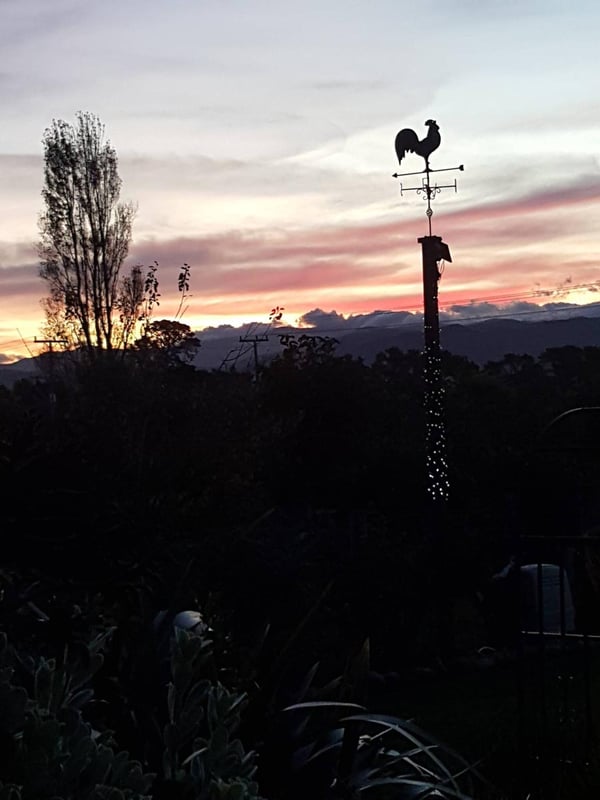Weather vane
