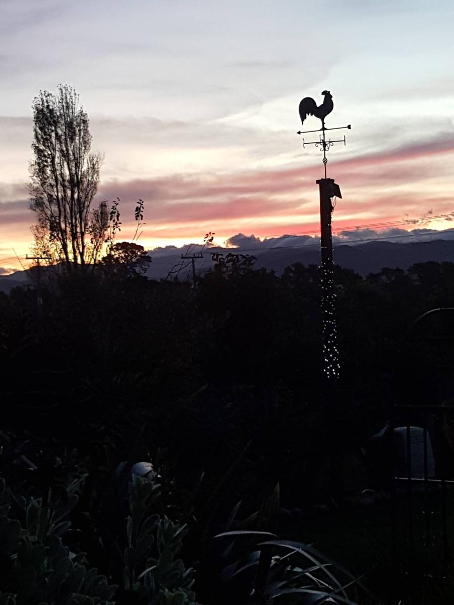 Weather vane