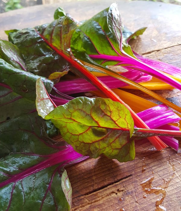 Come and cook with us on Waiheke