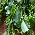 Sprouting broccoli