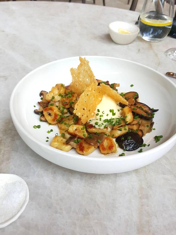 Tantalus gnocchi