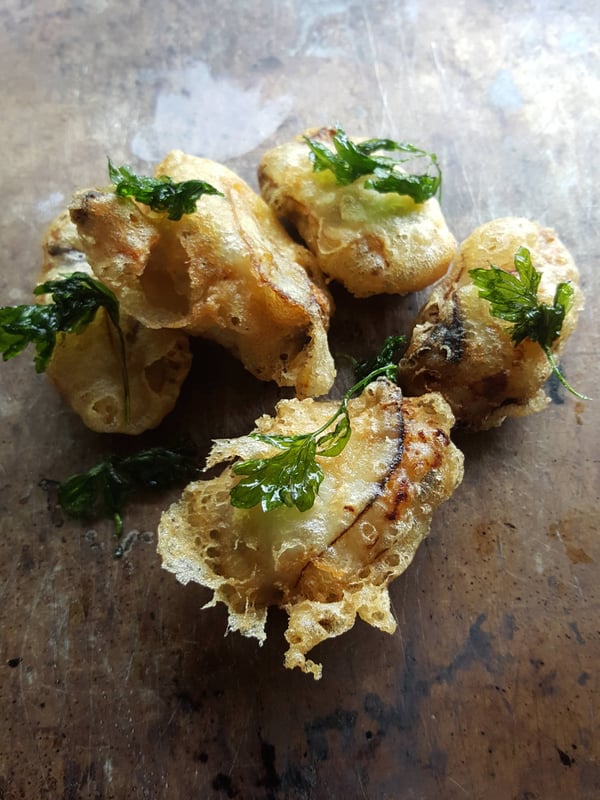 Oysters Citrine