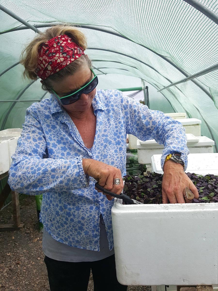 Nikki in the greenhouse with radish greens