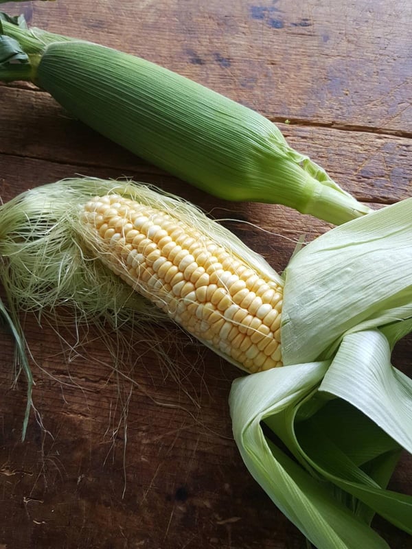 Sweet corn