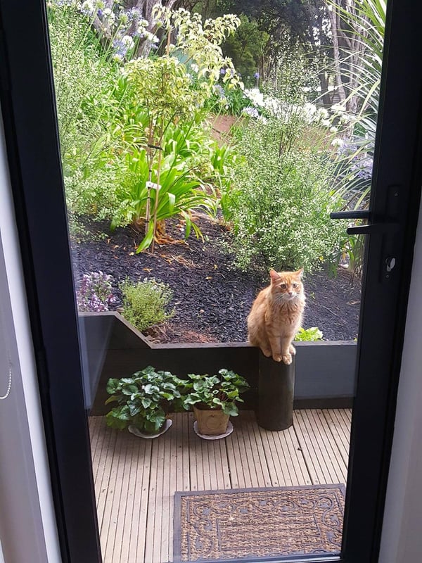 Humpf at door