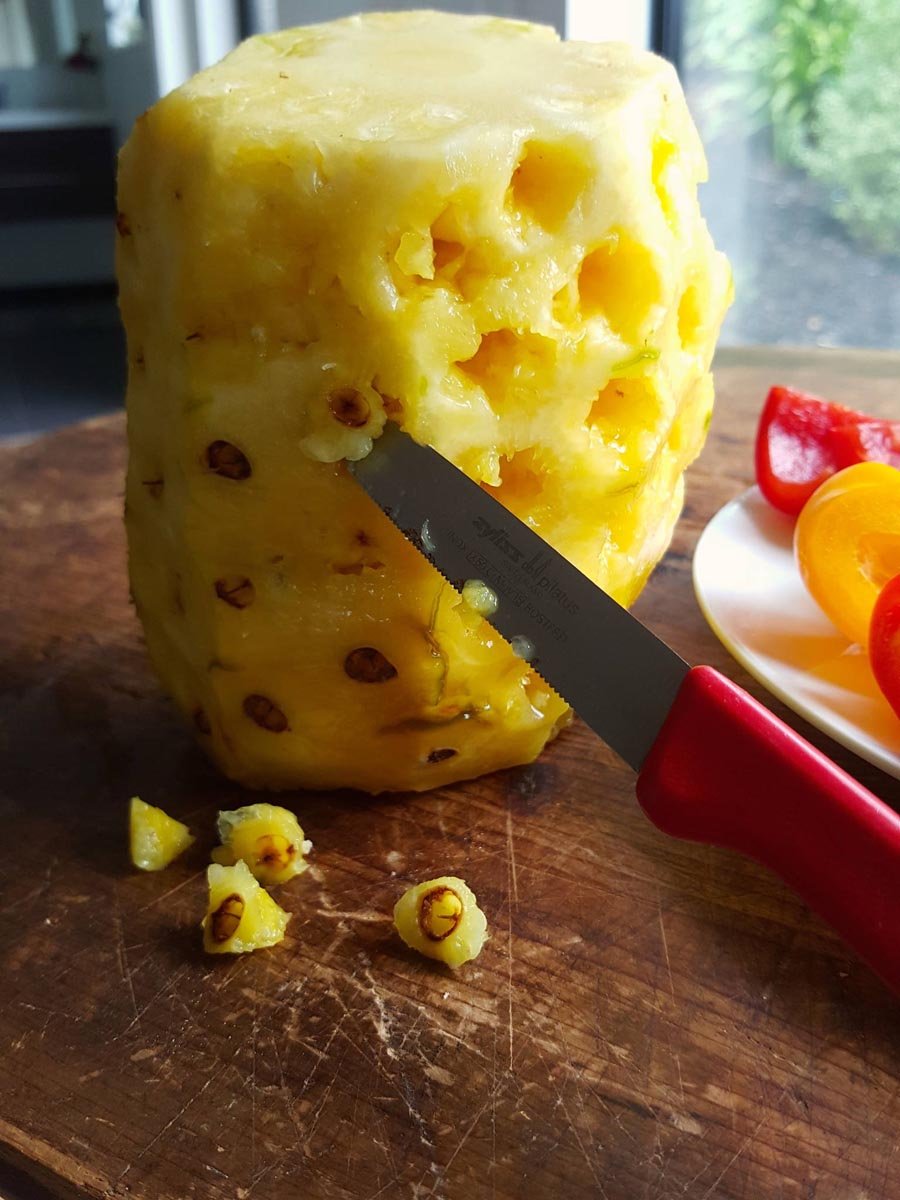 Pineapple 1
