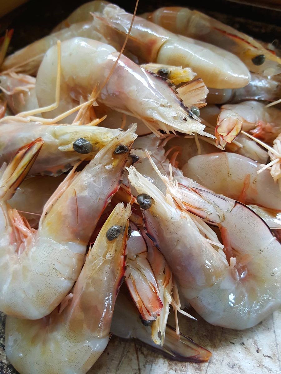 Prawns 5