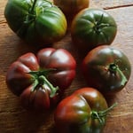 Tomatoes