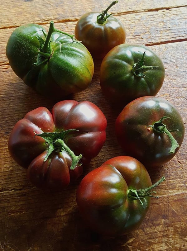 Tomatoes