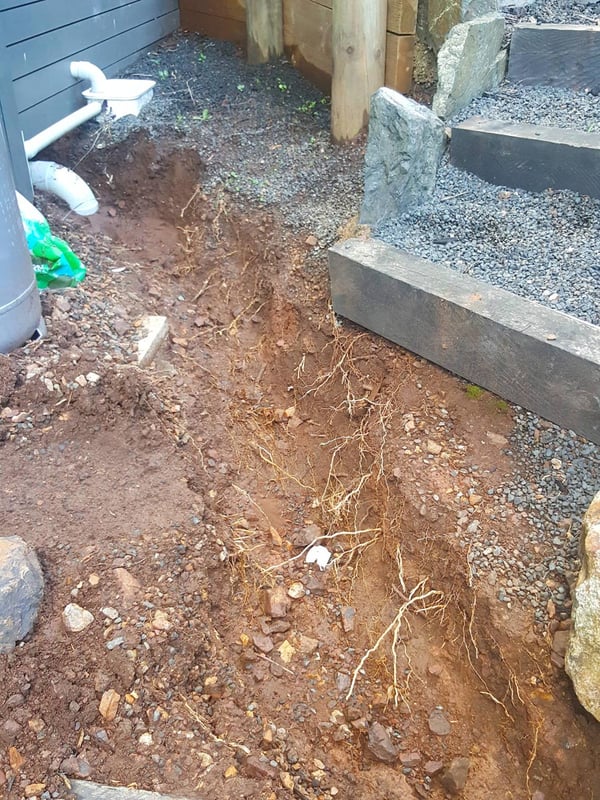 Trench 4