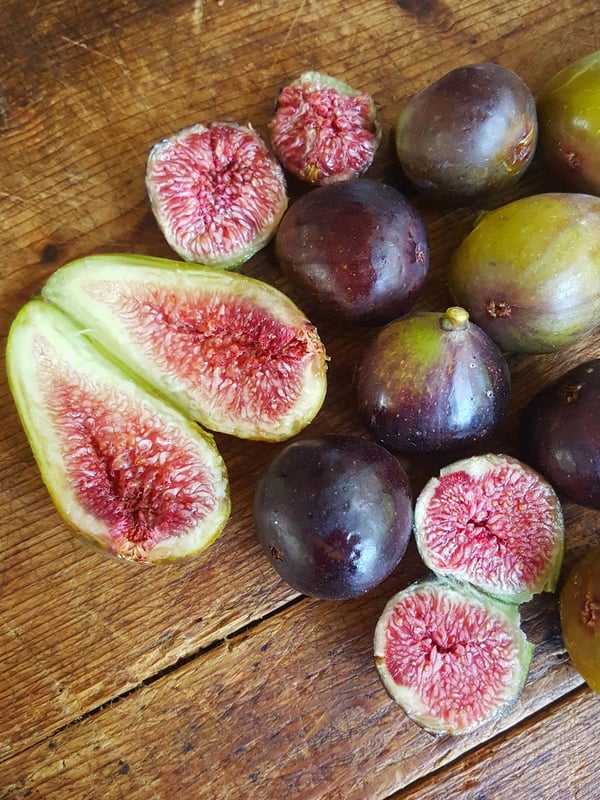 Radicchio & Fig Salad 2|Figs