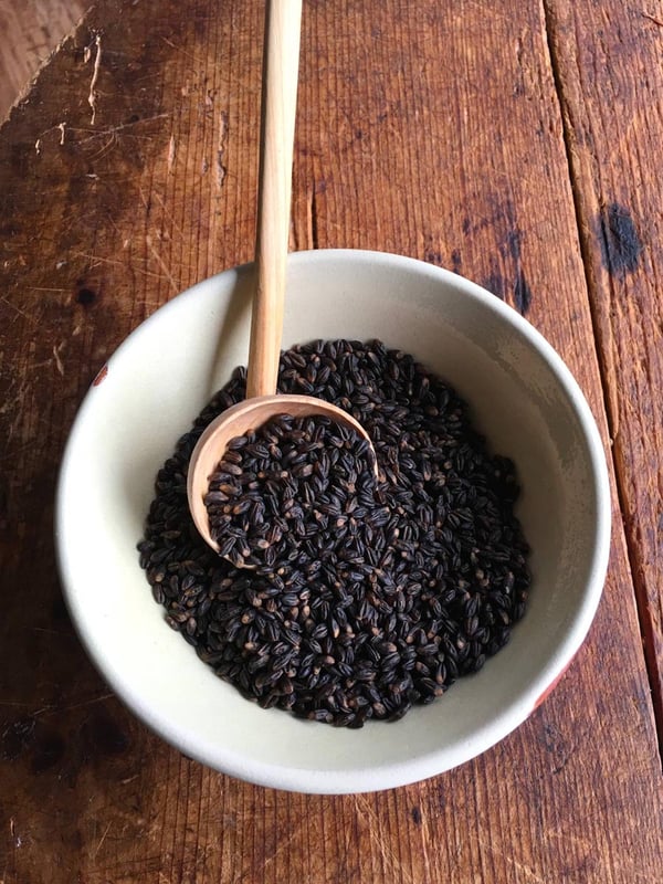 Black barley salad