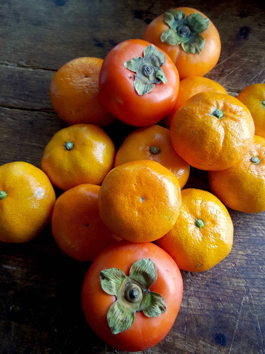 Mandarins & persimmons
