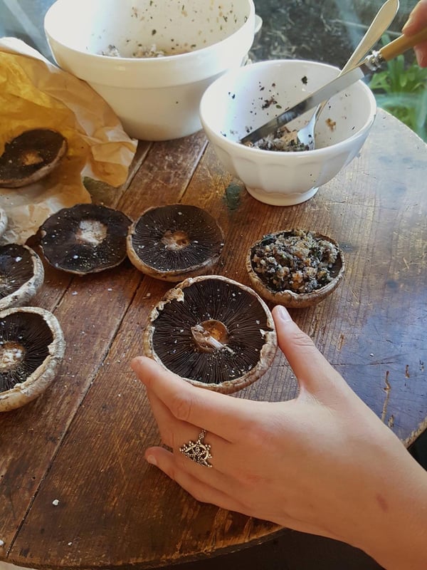 Mushrooms 4