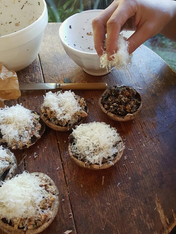 Mushrooms 6
