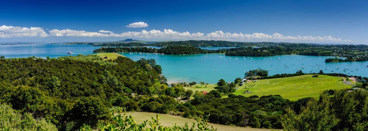 Te Whau view photo