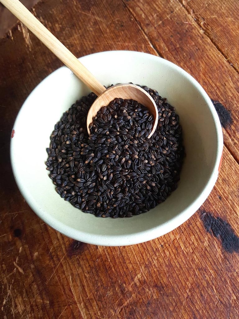 Black barley